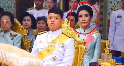 八岁小厨圣为母争光,为母争光的厨艺传奇