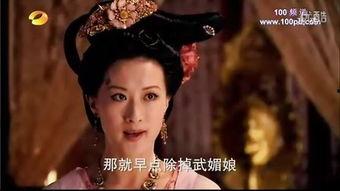 宫廷怨史,权谋与情仇的宫廷风云