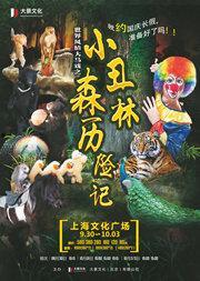 森林小丑,揭秘森林中的神秘喜剧大师