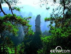 山谬的异色之旅,探寻世界多元色彩的艺术之旅