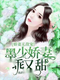 他的小难哄（乖甜娇妻太难哄）,小难哄的甜蜜挑战